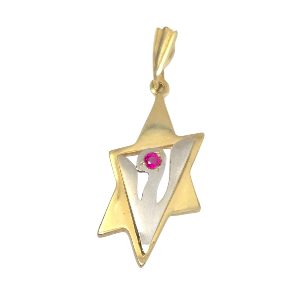 14k Yellow & White Gold Ruby Jewish Star of David Pendant Dove
