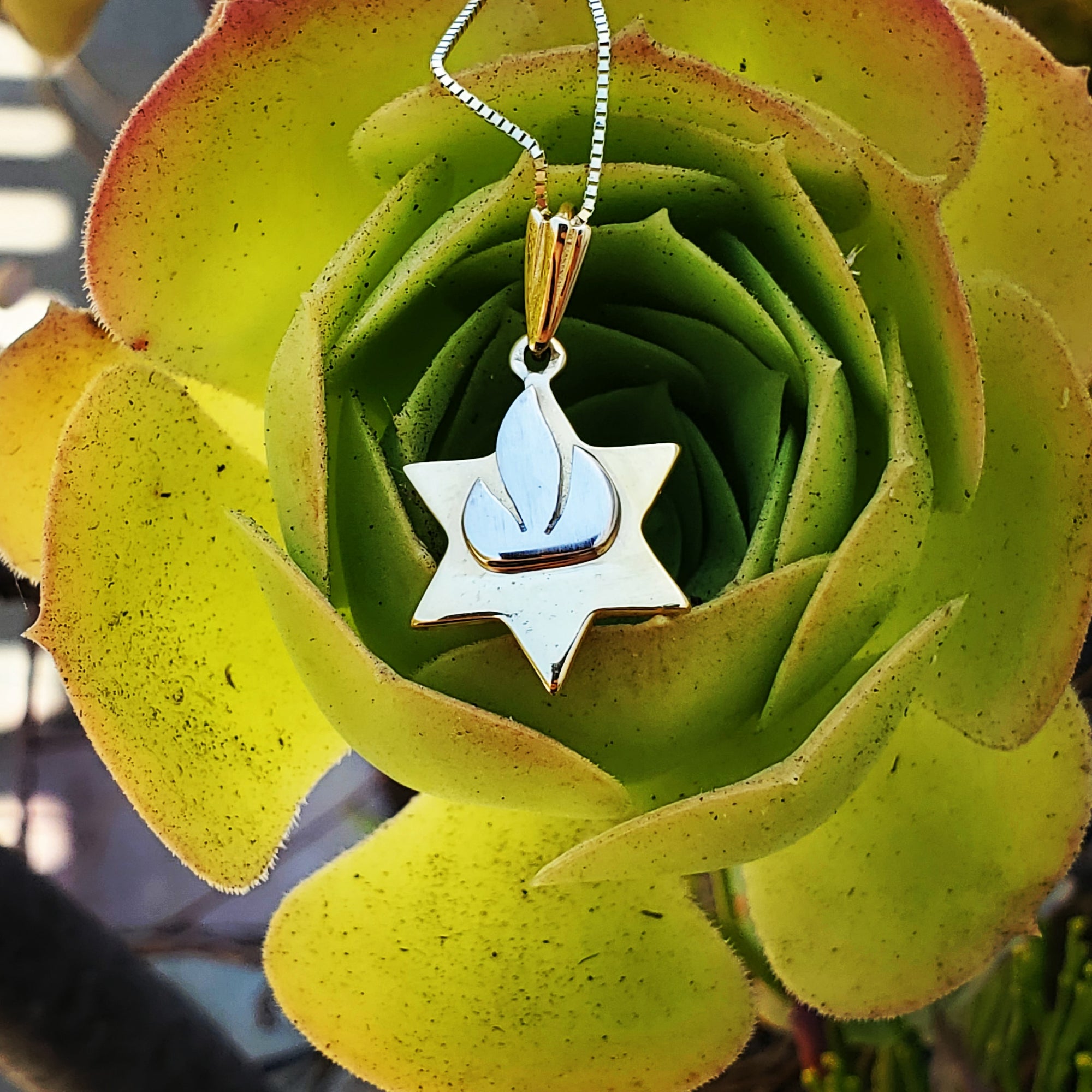 14k Yellow & White Gold Jewish Star of David Pendant Shin Flame