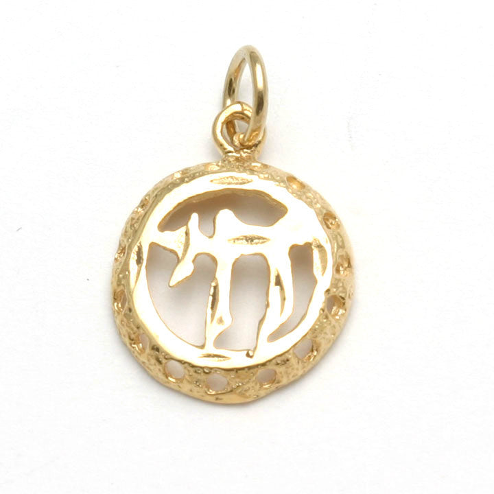 14k Yellow Gold Chai Encircled Pendant Small - JewelryJudaica