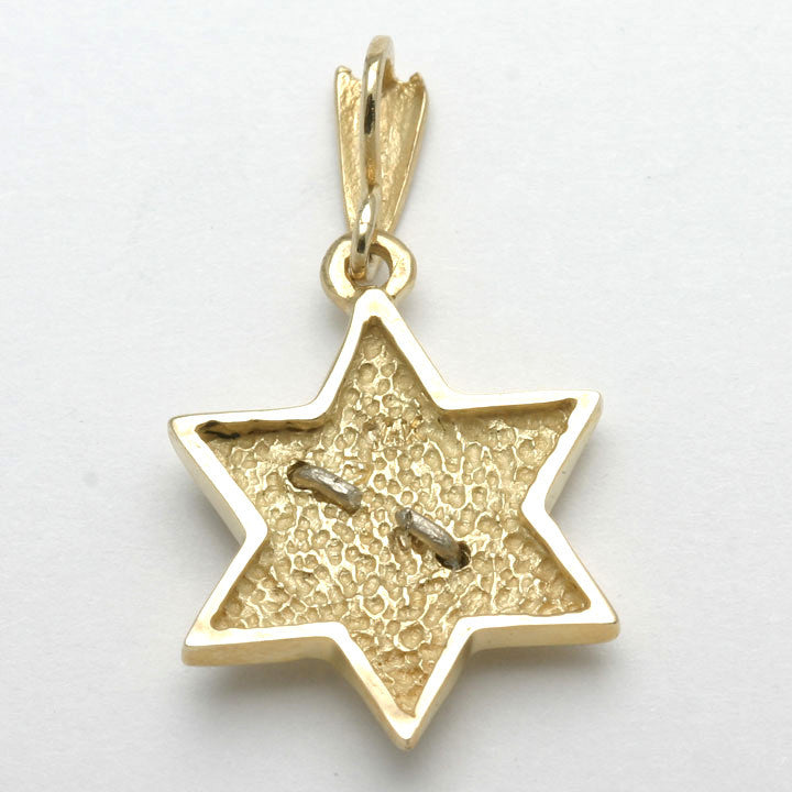 14k Yellow & White Gold Jewish Star of David Dove Pendant - JewelryJudaica