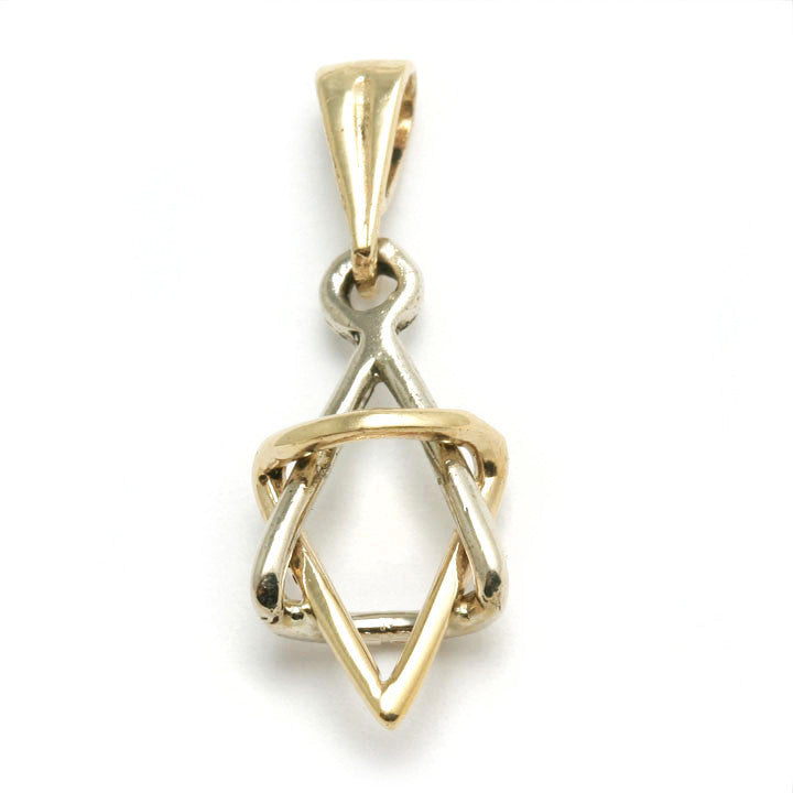 14k Yellow & White Gold Jewish Star of David Pendant 3D - JewelryJudaica