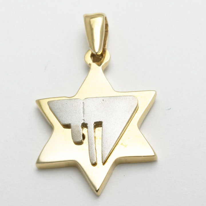 14k Two Tone Gold Jewelry
