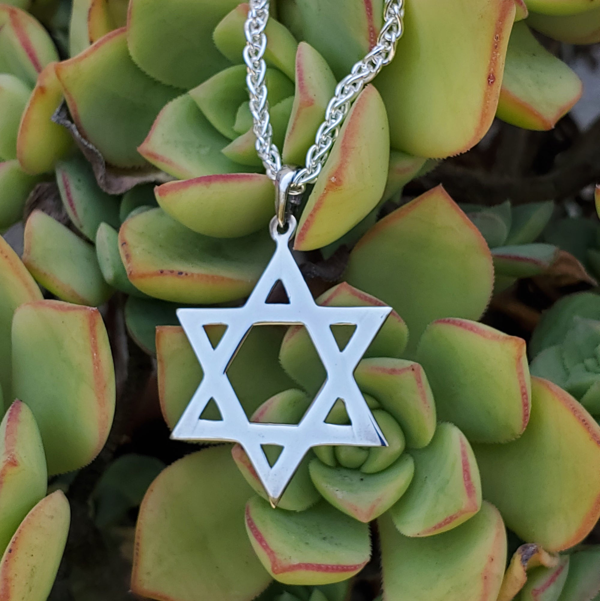 Sterling Silver Star of David Pendant Large