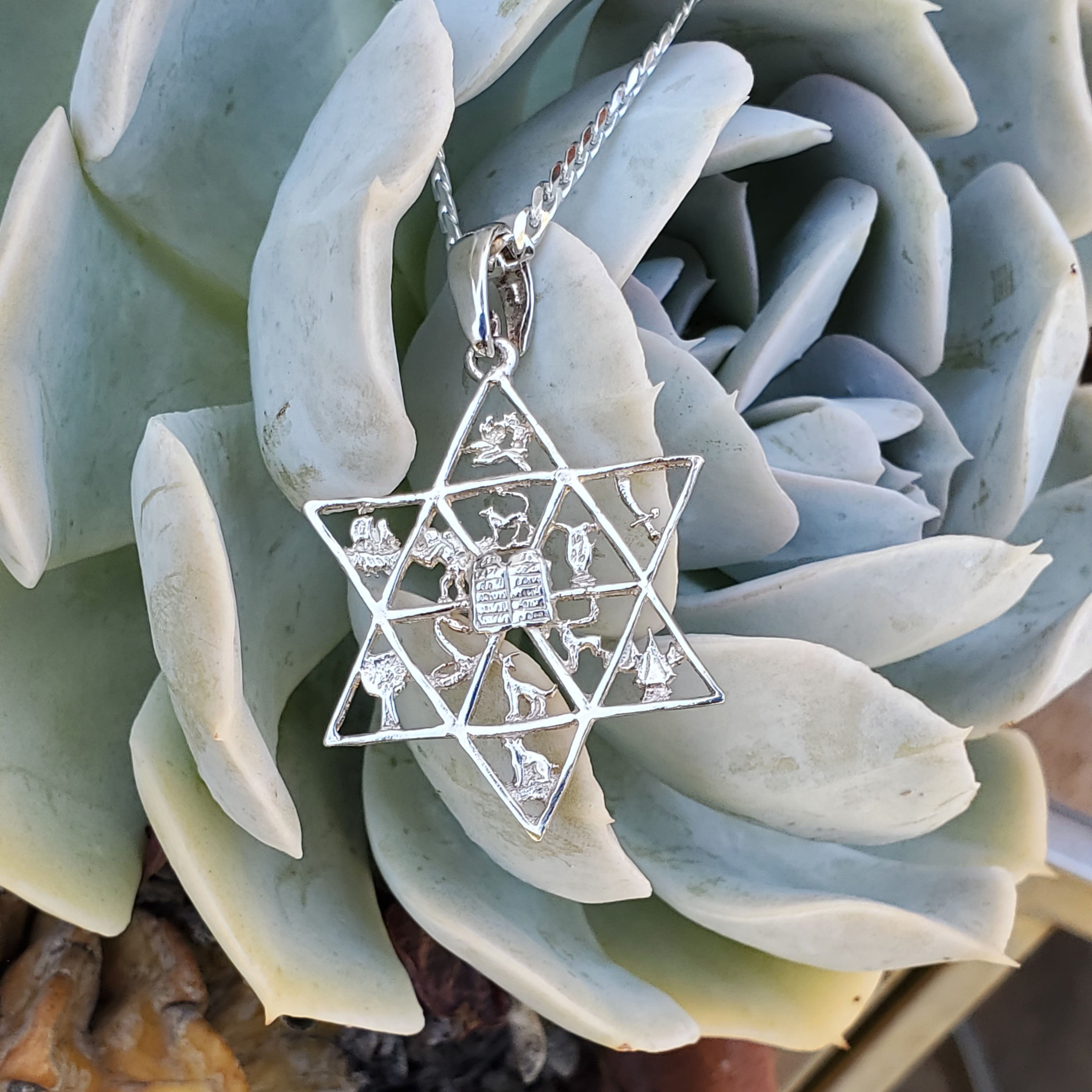 Sterling Silver 12 Tribes Jewish Star of David Pendant Large