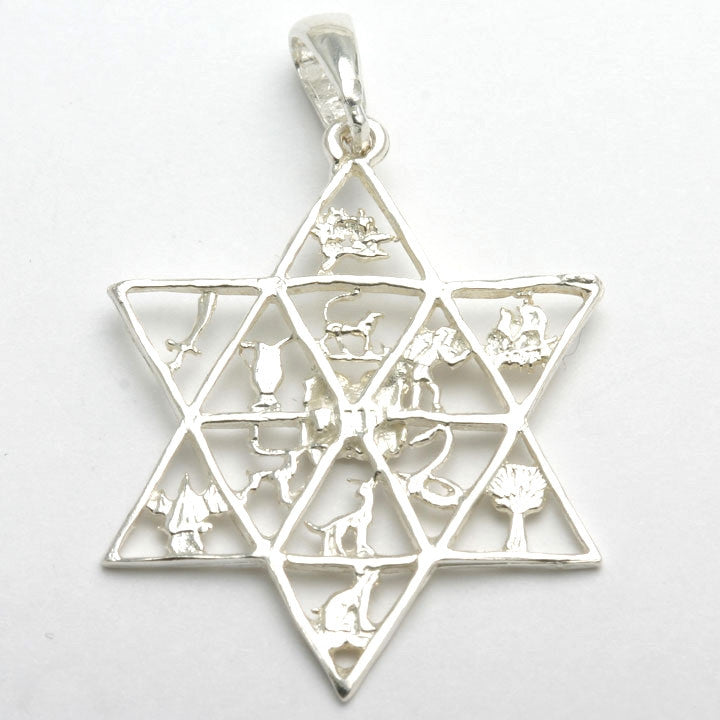 Sterling Silver 12 Tribes Jewish Star of David Pendant Large - JewelryJudaica