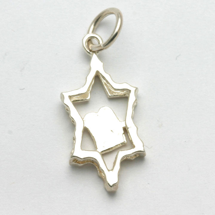 Sterling Silver Star of David 10 commandments Pendant - JewelryJudaica