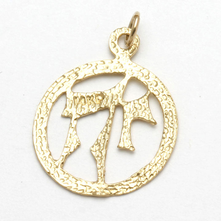 14k Yellow Gold Chai Pendant Encircled - JewelryJudaica