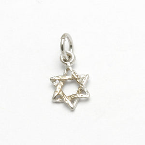 14k White gold Tiny Braided Star of David Pendant - JewelryJudaica