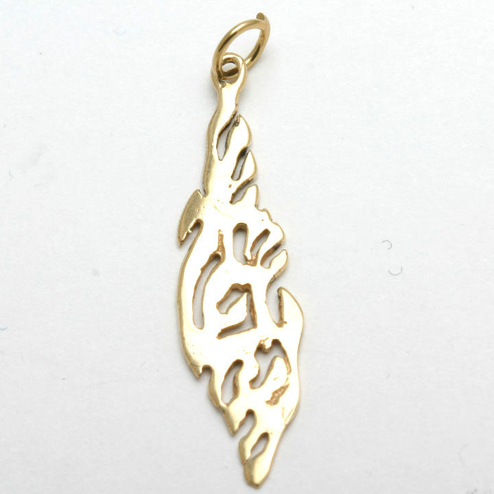 14k Yellow Gold Shema Yisrael Flame Pendant - JewelryJudaica