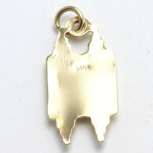 14k Yellow Gold Torah Pendant - JewelryJudaica