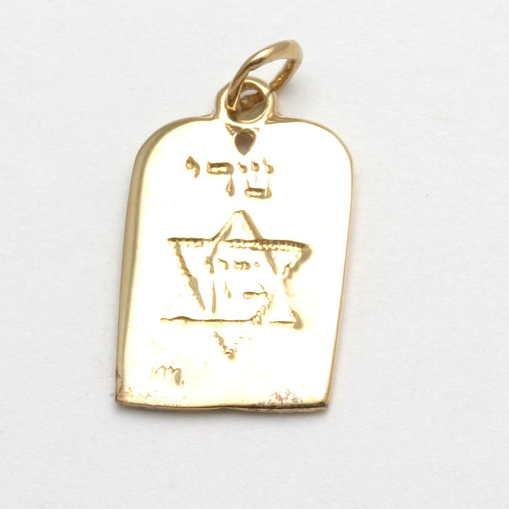 14k Yellow Gold 10 Commandments Pendant Star of David - JewelryJudaica