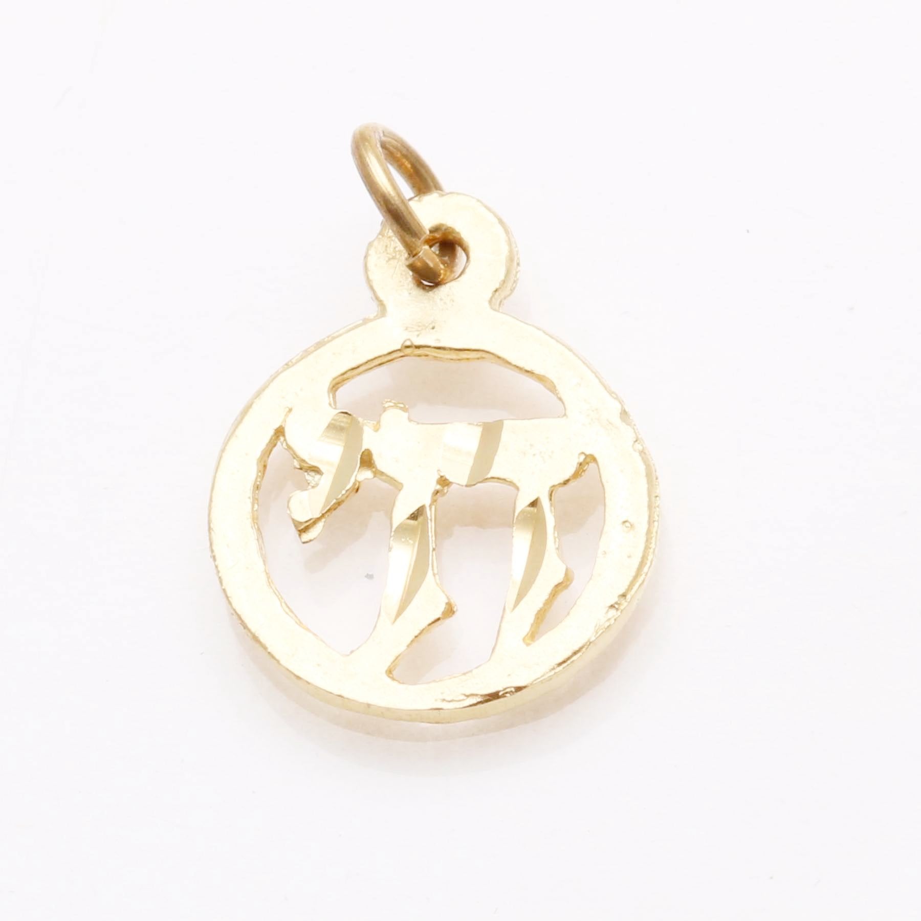 14k Yellow Gold Encircled Chai pendant Small - JewelryJudaica