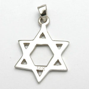 14k White Gold Jewish Star of David Pendant - JewelryJudaica