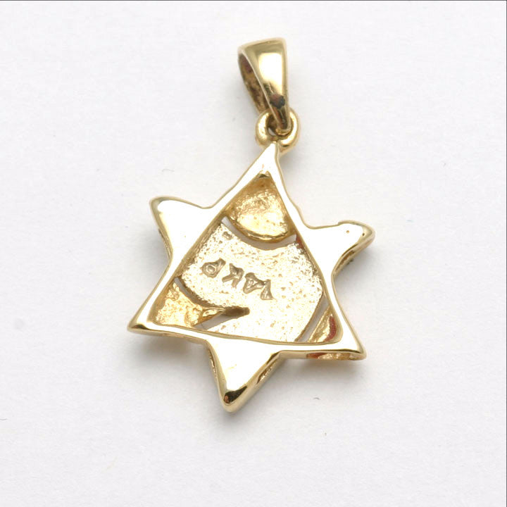 14k Yellow & White Gold Dove Star of David Diamond Pendant Small - JewelryJudaica