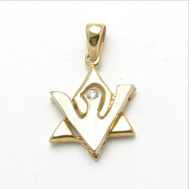 14k Yellow & White gold Diamond Dove Pendant Matte Small - JewelryJudaica