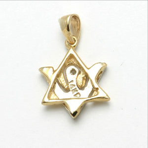 14k Yellow & White gold Diamond Dove Pendant Matte Small - JewelryJudaica