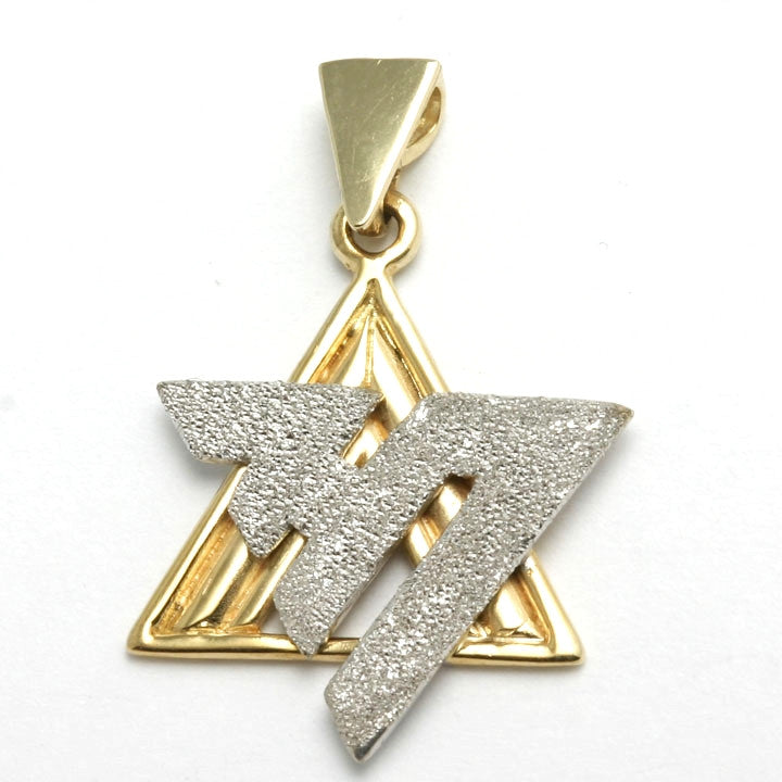 14k Yellow & White Gold Chai and Star of David Pendant - JewelryJudaica