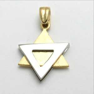 14k Yellow and White Gold Jewish Star of David Pendant Modern Matte - JewelryJudaica