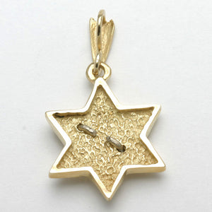 14k Yellow & White Gold Jewish Star of David Dove Pendant - JewelryJudaica