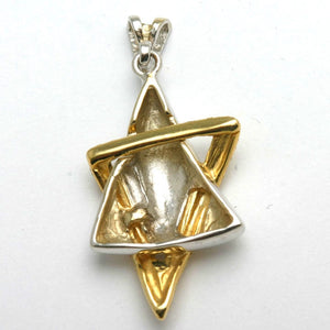 14k White & Yellow Gold Jewish Star of David Pendant Brushed - JewelryJudaica