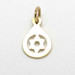 14k Yellow Gold Encircled Star of David Pendant Israel - JewelryJudaica