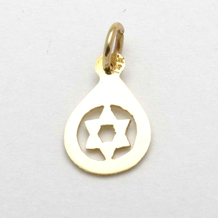 14k Yellow Gold Encircled Star of David Pendant Israel - JewelryJudaica