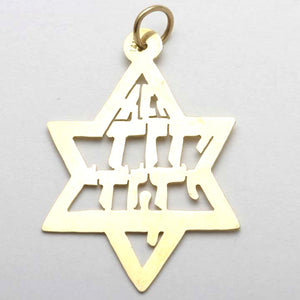 14k Yellow Gold Ani Le Dodi Pendant Large Beloved - JewelryJudaica