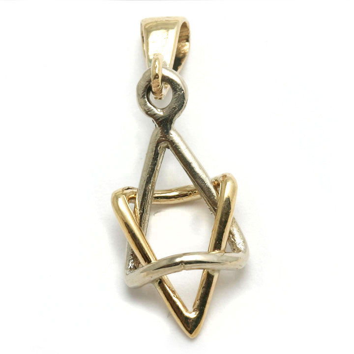 14k Yellow & White Gold Jewish Star of David Pendant 3D - JewelryJudaica